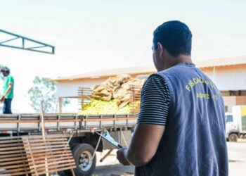 Tocantins investe mais de R$ 6 milhões no fortalecimento do sistema de defesa agropecuária