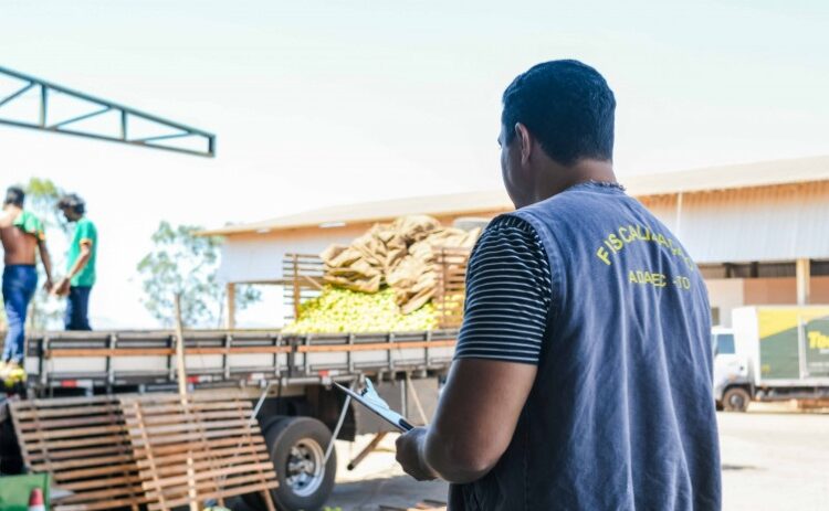 Tocantins investe mais de R$ 6 milhões no fortalecimento do sistema de defesa agropecuária