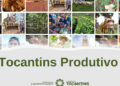 Estado recebe autorização para contratar crédito externo para o programa Tocantins Produtivo