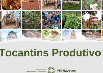 Estado recebe autorização para contratar crédito externo para o programa Tocantins Produtivo