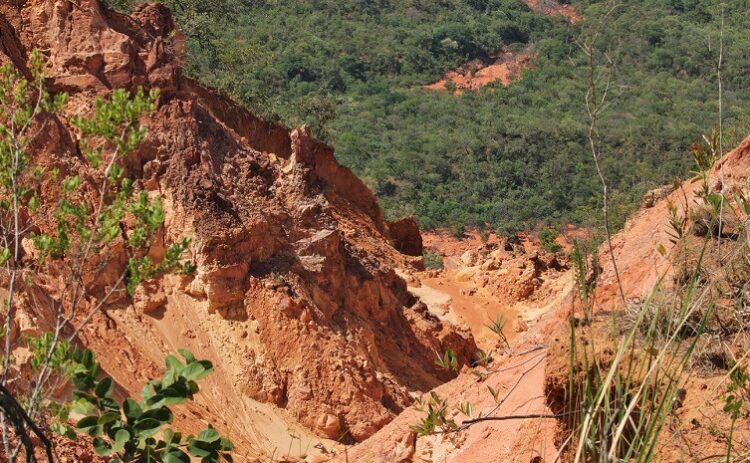 Órgãos ambientais realizam operação conjunta na região das Serras Gerais para propor medidas contra danos ambientais