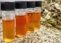 Óleo essencial de alecrim-do-mato é capaz de controlar fungos e bactérias em culturas agrícolas