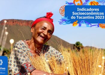 Tocantins divulga atualização dos indicadores socioeconômicos do Estado