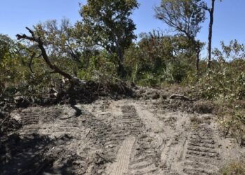 MPE firma acordo com proprietários rurais para recompor área correspondente a 460 campos de futebol