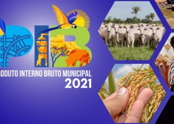 Divulgados os resultados e tabelas do PIB dos municípios tocantinenses