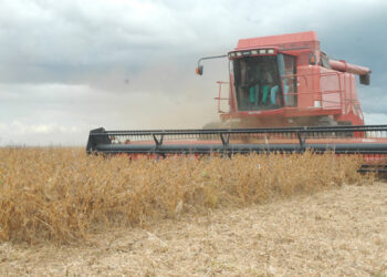 Investimentos impulsionam a produção da agricultura e da pecuária em 2023