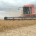 Investimentos impulsionam a produção da agricultura e da pecuária em 2023