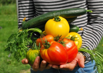 Escolas de Paraíso abrem 1ª chamada pública de 2024 para aquisição de alimentos da Agricultura Familiar