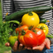 Escolas de Paraíso abrem 1ª chamada pública de 2024 para aquisição de alimentos da Agricultura Familiar
