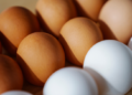 Brasil obtém acordo de “pre-listing” com Chile para exportação de ovos