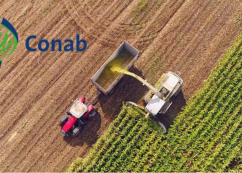 Confira o calendário de 2024 de levantamentos das safras agrícolas e do mercado hortigranjeiro