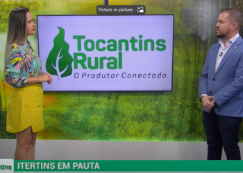 130 Tocantins Rural – Balanço de final de ano do Itertins e receita de pão caseiro