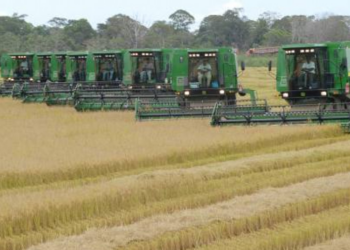 “Tocantins Produtivo”: investimento de US$ 200 milhões de dólares é sancionado