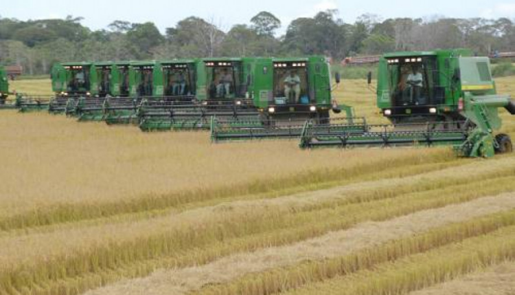“Tocantins Produtivo”: investimento de US$ 200 milhões de dólares é sancionado