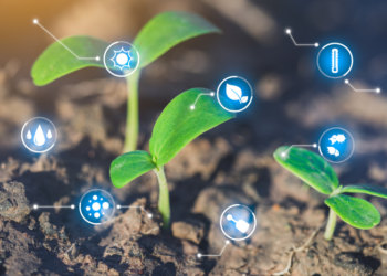 Aplicação do crédito rural chega a R$ 217 bilhões em cinco meses do atual Plano Safra