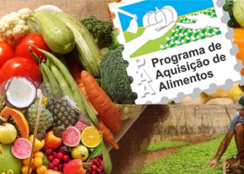 TOCANTINS: Mais de 900 toneladas de alimentos foram entregues por meio do PAA