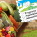 TOCANTINS: Mais de 900 toneladas de alimentos foram entregues por meio do PAA
