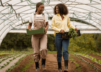 Tocantins institui em Lei a “Política Estadual de Estímulo ao Empreendedorismo Feminino”
