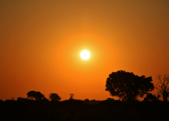 Ano de 2023 foi o mais quente da história do Brasil