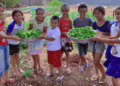 Prêmio Escola que Transforma: Escola Rural de Nova Rosalândia conquista o 3º lugar com o projeto sobre alimentação orgânica
