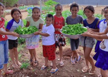 Prêmio Escola que Transforma: Escola Rural de Nova Rosalândia conquista o 3º lugar com o projeto sobre alimentação orgânica