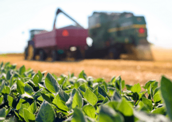 BNDES anuncia mais R$ 3 bilhões para crédito pelo Plano Safra