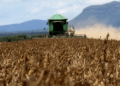 SOJA: Valores recuam para patamares de 2020