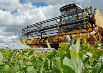 Governo sanciona orçamento para 2024: veja valores destinados para as áreas que refletem no Agro do TO