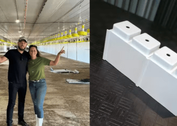 Conheça o aviário feito de ‘Lego’ que tem quase 2 mil m²