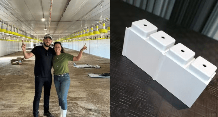 Conheça o aviário feito de ‘Lego’ que tem quase 2 mil m²