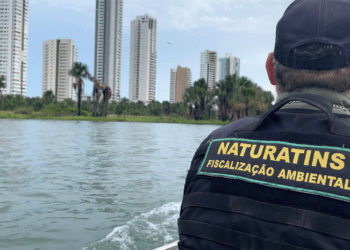 Tocantins segue com Operação Piracema até 28 de fevereiro em todo o Estado