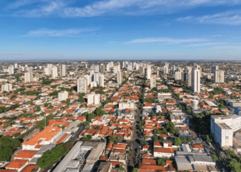 Qual é a capital do boi gordo no Brasil? Conheça