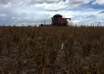 Porto Nacional atinge US$ 612 milhões em exportações e dispara na liderança no TO