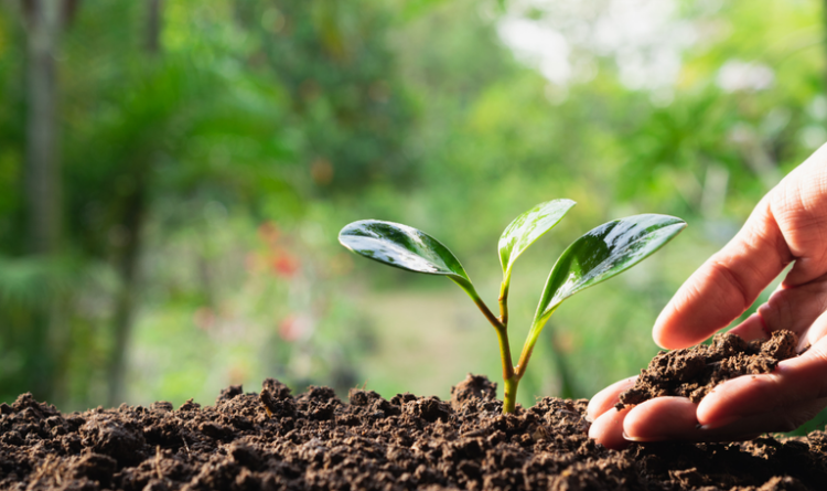 Brasil inicia 2024 com 90 produtos de baixo impacto registrados