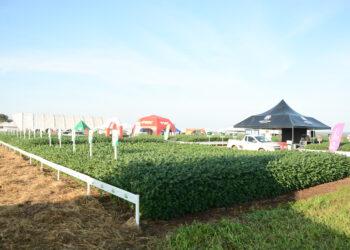 4º Show Tecnológico do Cerrado inicia nesta quarta-feira (31), em Paraíso do Tocantins