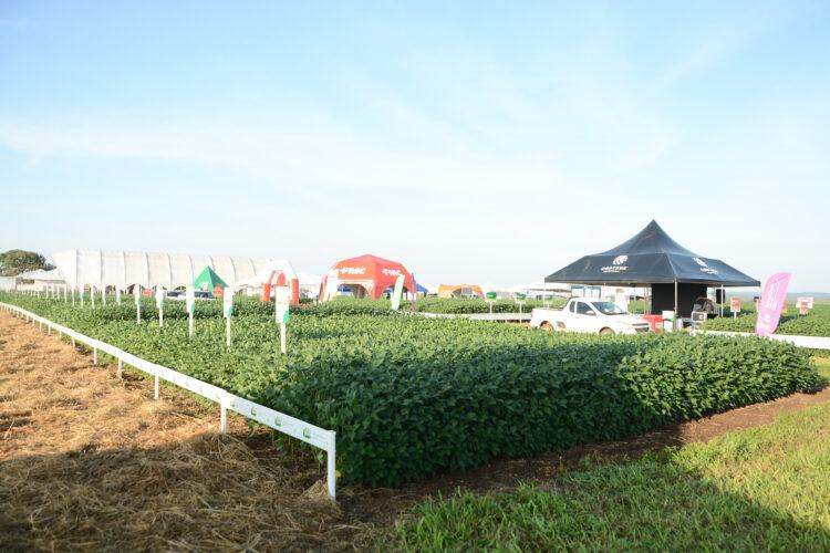 4º Show Tecnológico do Cerrado inicia nesta quarta-feira (31), em Paraíso do Tocantins