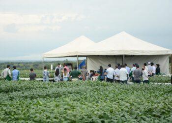 Dinâmicas de campo levam inovação para 4º Show Tecnológico do Cerrado