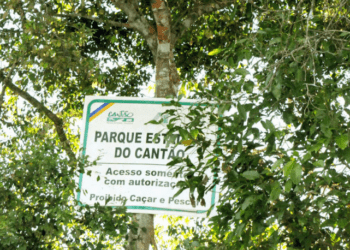 Conselho Consultivo do Parque Estadual do Cantão publica Edital de Chamamento para composição do biênio 2023-2025