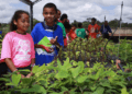 Estado lança projeto Sementinhas do Cerrado com objetivo de promover a consciência ambiental de estudantes