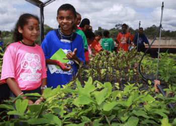 Estado lança projeto Sementinhas do Cerrado com objetivo de promover a consciência ambiental de estudantes