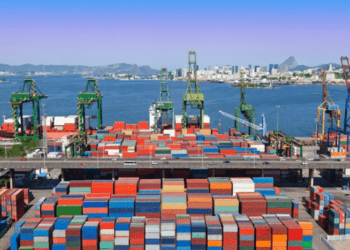 Fim da Medida Antidumping da China sobre carne de frango brasileira