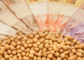 Preço da soja no Brasil caiu mais de R$ 20 em janeiro. Veja os destaques do mês