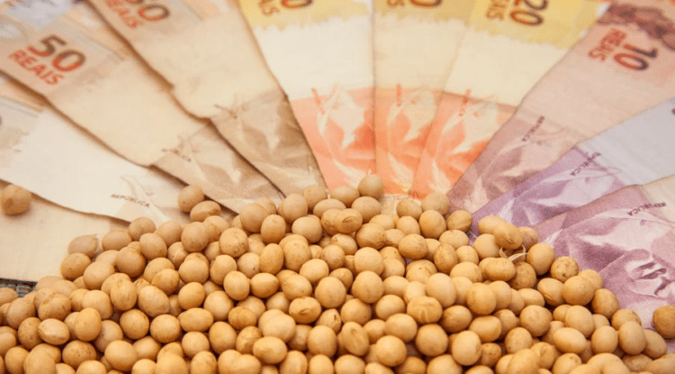 Preço da soja no Brasil caiu mais de R$ 20 em janeiro. Veja os destaques do mês
