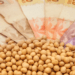Preço da soja no Brasil caiu mais de R$ 20 em janeiro. Veja os destaques do mês