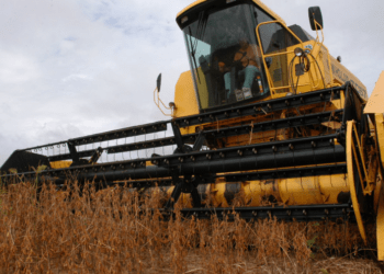 Colheita da soja inicia nas principais regiões do Tocantins
