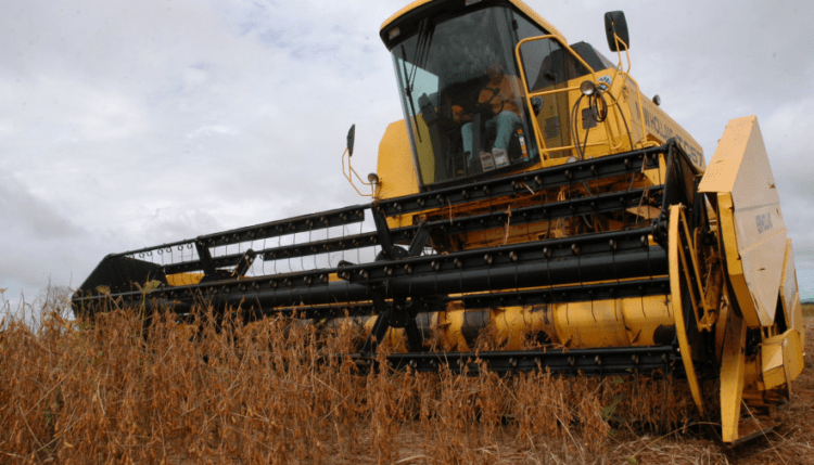 Colheita da soja inicia nas principais regiões do Tocantins