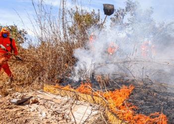 Defesa Civil Estadual realiza curso de Brigada Florestal aos municípios