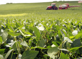 Alta em pedidos de recuperação judicial tende a encarecer e reduzir acesso a financiamentos