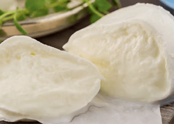 Queijo de leite de búfala é mais digestivo; saiba o motivo