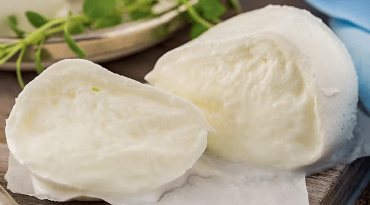 Queijo de leite de búfala é mais digestivo; saiba o motivo